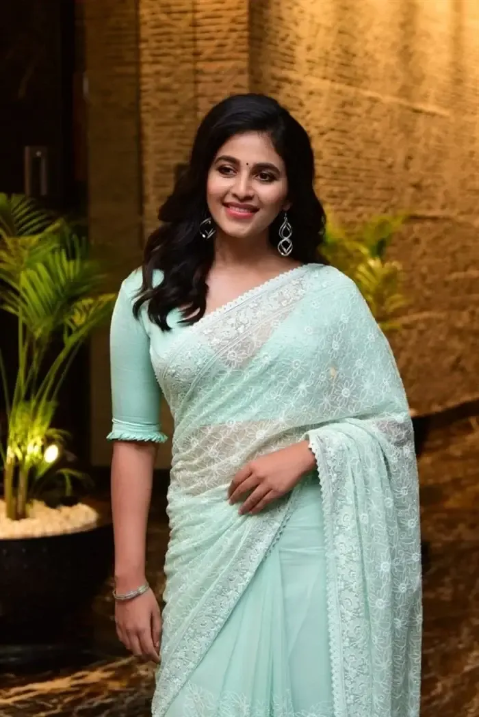 SOUTH INDIAN ACTRESS ANJALI STILLS IN TRADITIONAL LIGHT GREEN SAREE 13